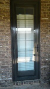 Clear View Residential Steel Security Door